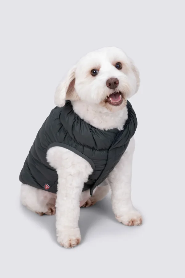 Dog Coat— S>Macpac Store